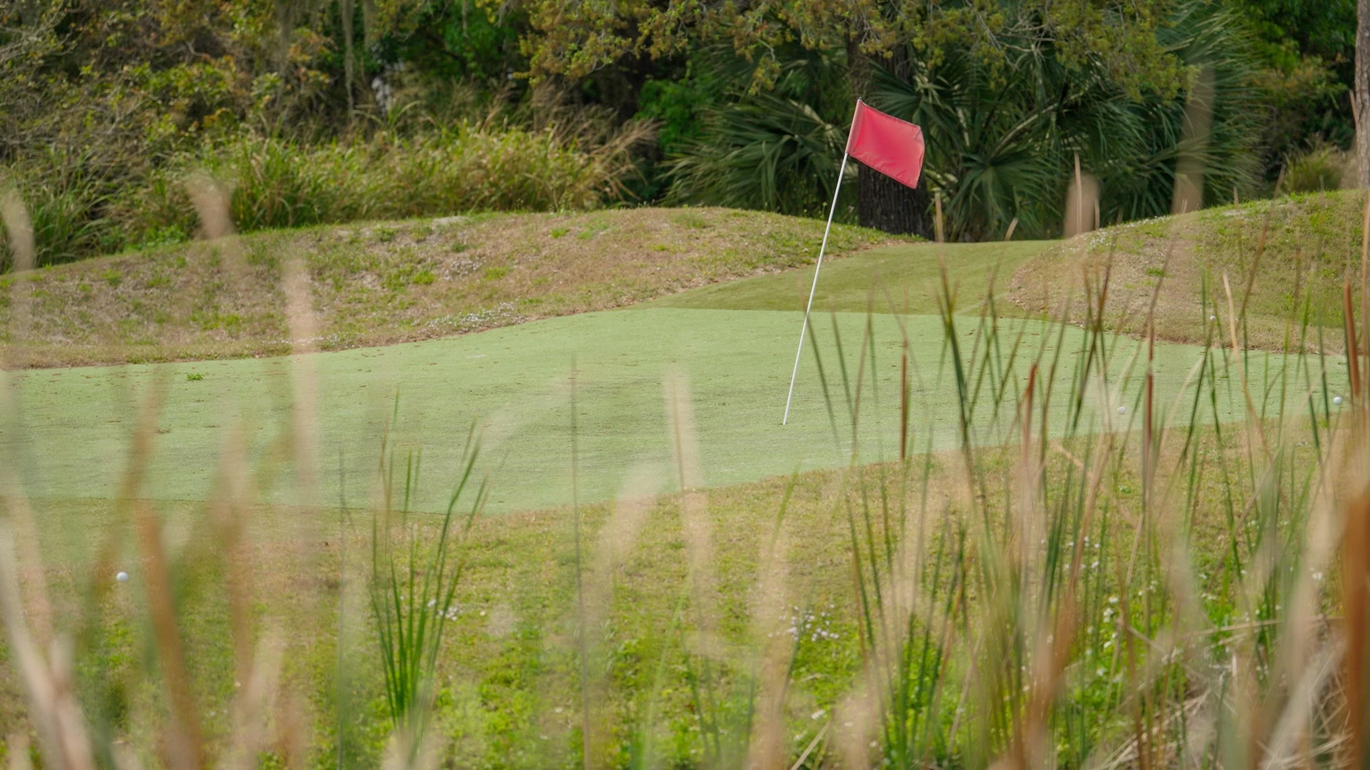 Road Runner Stills 036