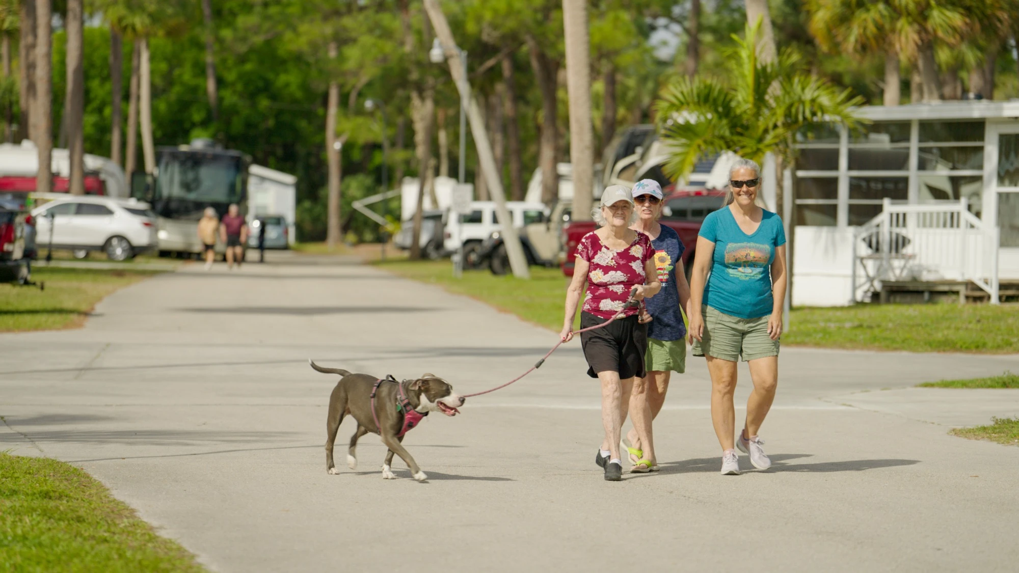Road Runner Stills 039