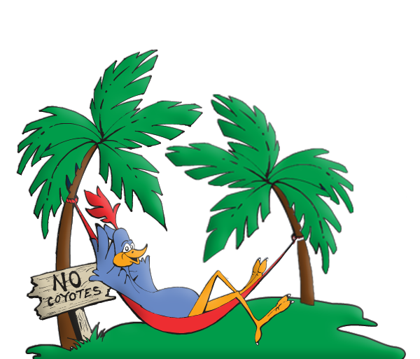 no coyotes